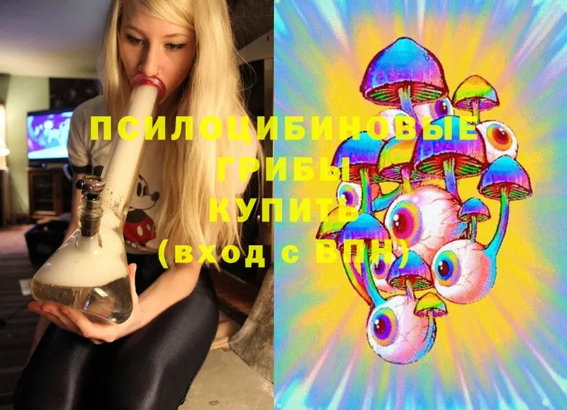 Псилоцибиновые грибы Cubensis  Берёзовский 